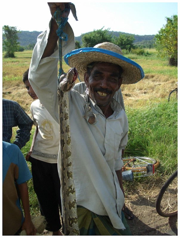 Lunch, Sri Lanka.JPG